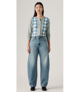 Levis Levi's Baggy Dad Jeans