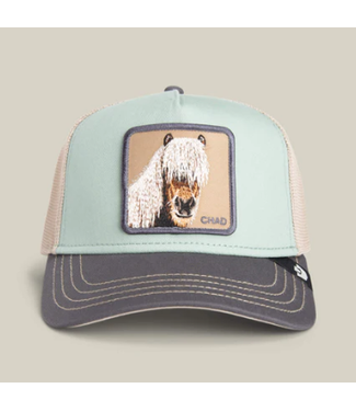 Goorin Bros Goorin Bros Tricolor Horse