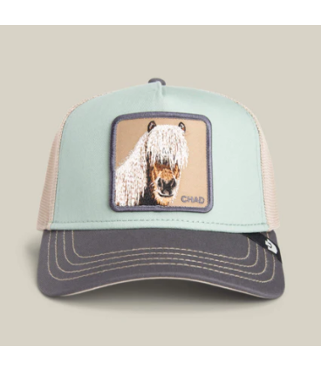 Goorin Bros Tricolor Horse