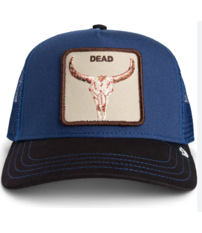 Goorin Bros Two Toned Skull