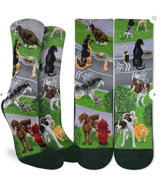 Good Luck Sock Women's Dogs Peeing -  Size 5-9