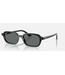 Ray-Ban Ray-Ban Zuri Black w/Dark Grey Polar