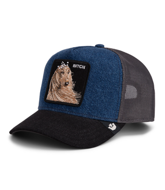 Goorin Bros Goorin Bros Hound Dog Hat