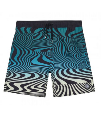 Volcom Volcom Youth Lido Print Trunk