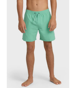 Billabong Billabong Men's All Day LB Short