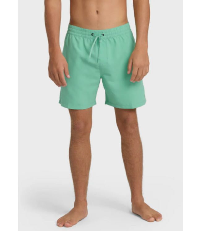 Billabong Men's All Day LB Short