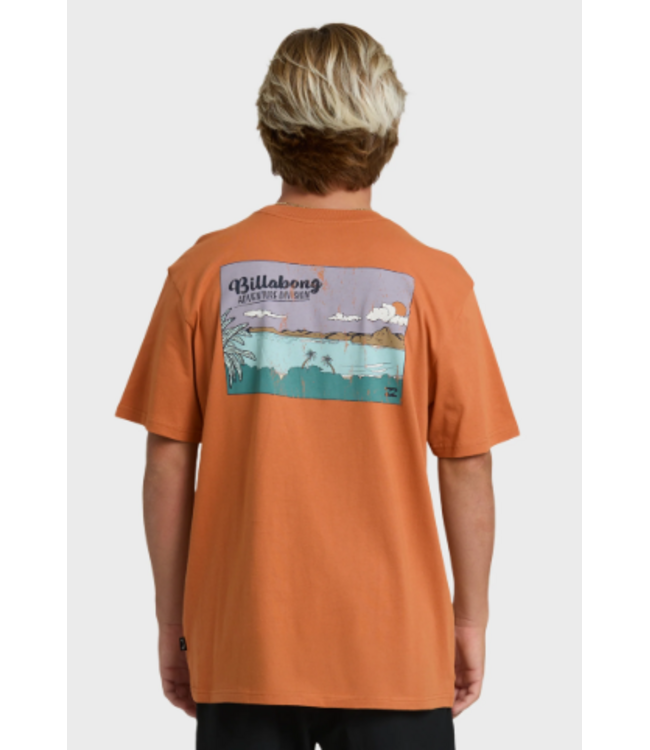 Billabong Men's Post Cards Adiv Tee