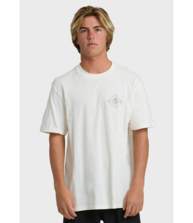 Billabong Men's Agave Adiv Premium Tee