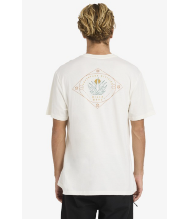 Billabong Men's Agave Adiv Premium Tee