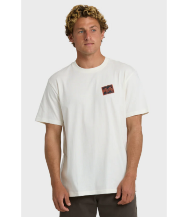 Billabong Men's Crayon Wave Premium Tee