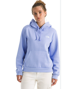North Face North Face Women's Evolution Hoodie