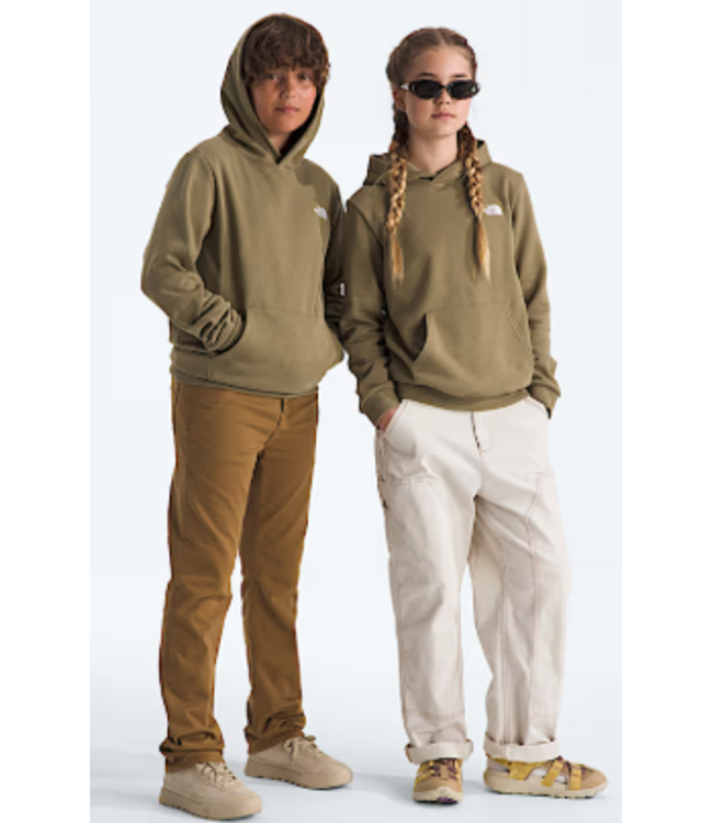 North Face Teen Evolution SD Hoodie
