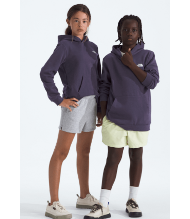 North Face Teen Evolution SD Hoodie