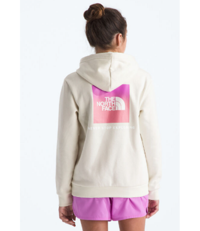 North Face Teen Evolution Box Hoodie
