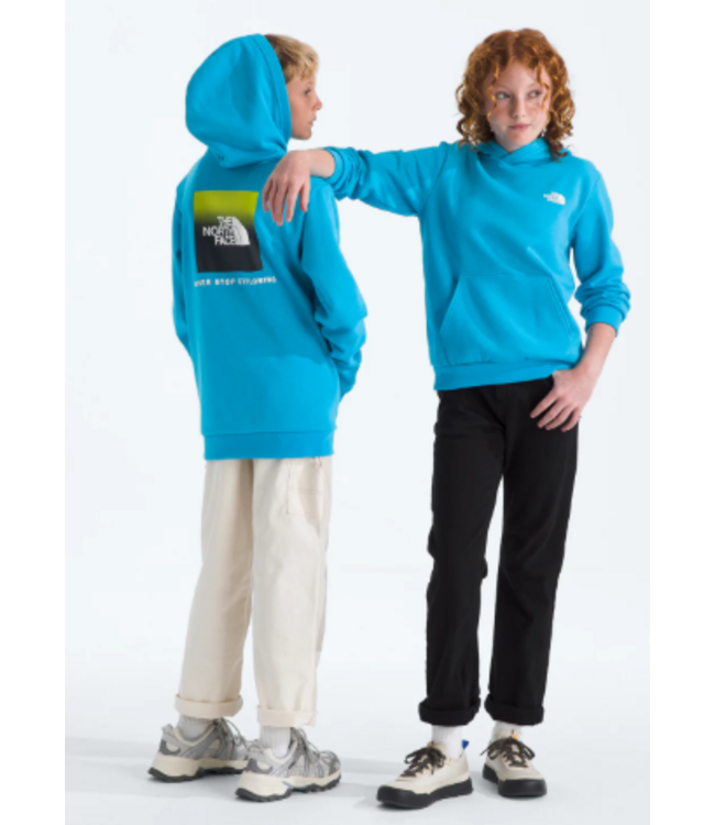 North Face Teen Evolution Box Hoodie