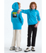 North Face North Face Teen Evolution Box Hoodie