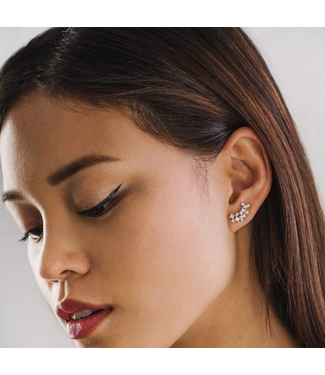 Lover's Tempo Lover's Tempo Stardust Climber Earrings - Clear