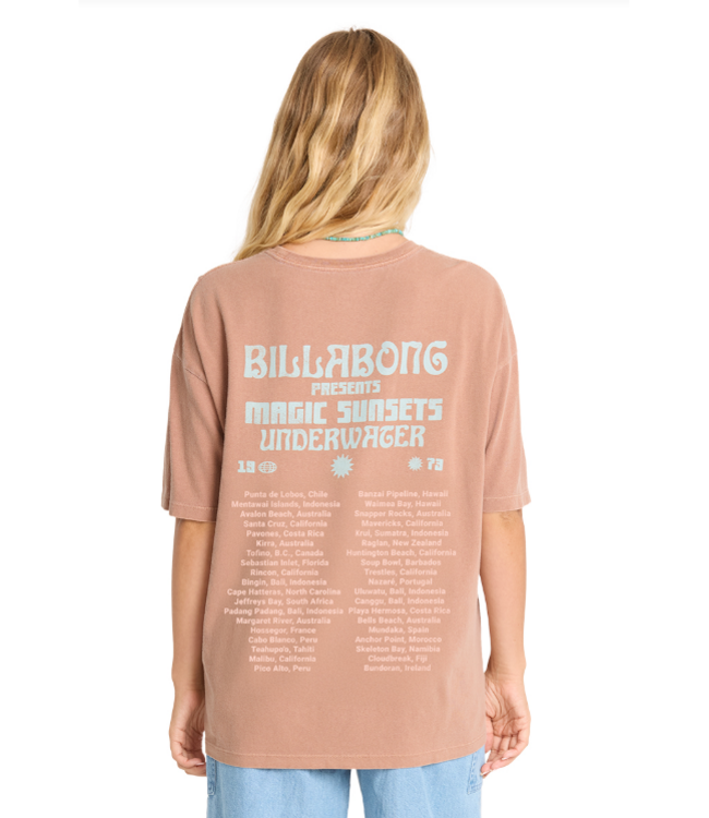 Billabong Women's Take A Tour Tee