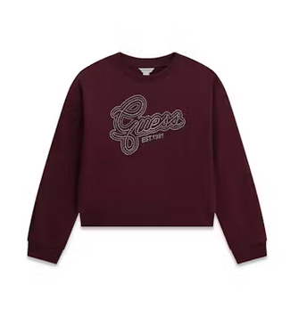 Guess Guess Girl's LS Active Top