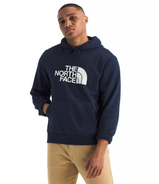North Face North Face Men's Evolution HD Hoodie