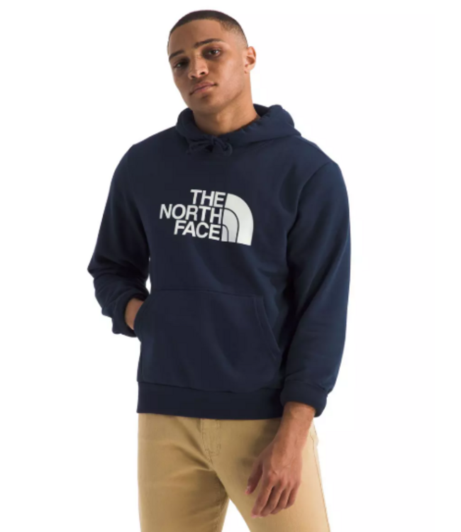 North Face Men's Evolution HD Hoodie
