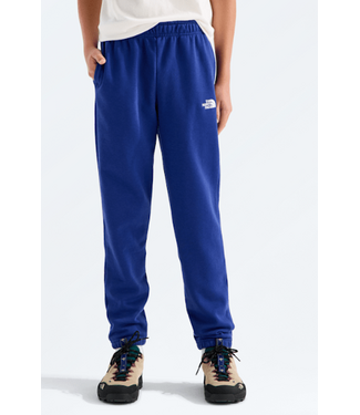 North Face North Face Teen Evolution SD Pant