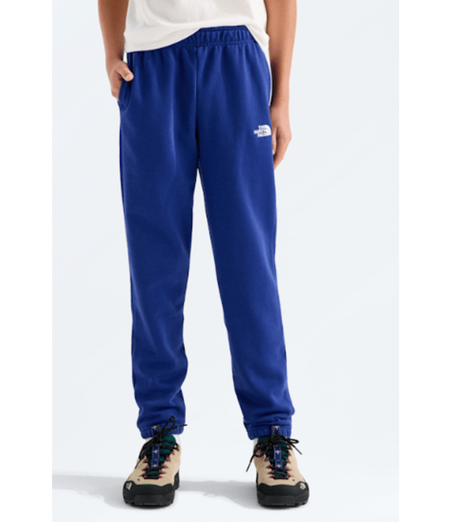 North Face Teen Evolution SD Pant