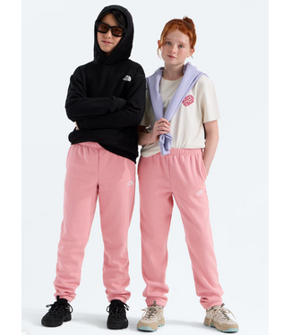 North Face North Face Teen Evolution SD Pant