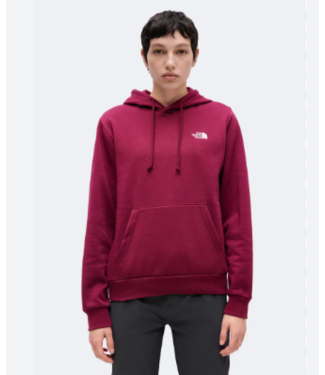 North Face Women's Evolution SD Hoodie