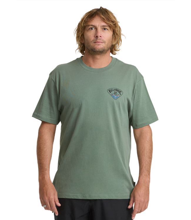 Billabong Men's Scenic Arch Adiv Tee