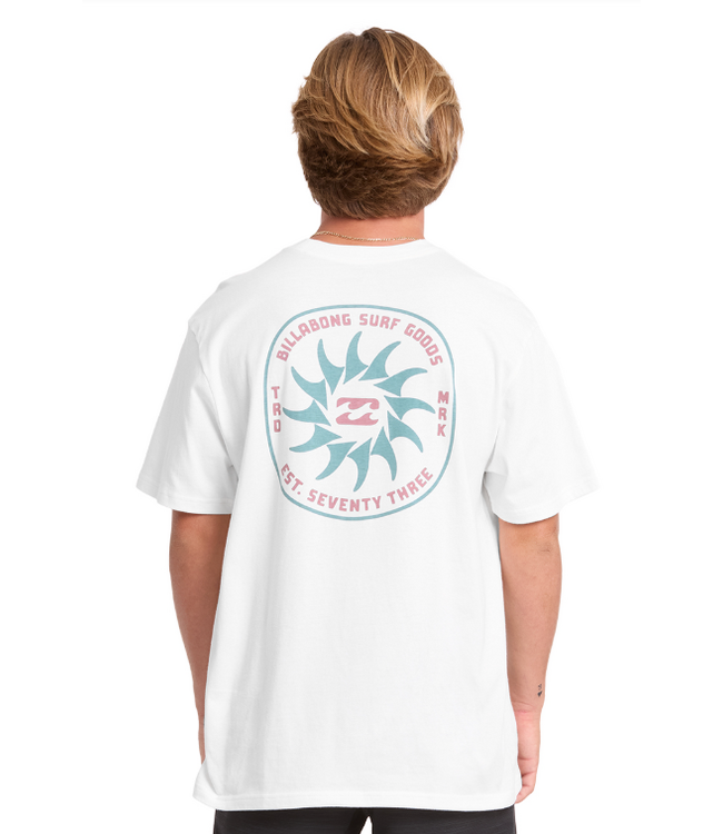 Billabong Men's Rotation Premium Tee