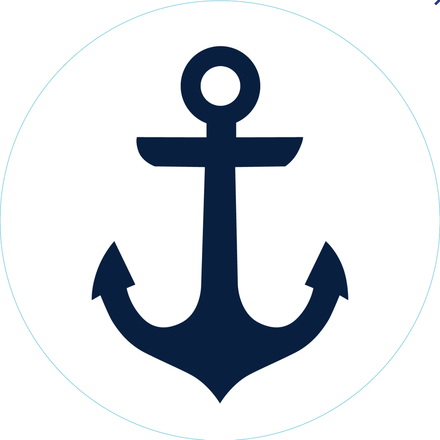 Bogg Bag Bogg Bit {Navy Anchor}