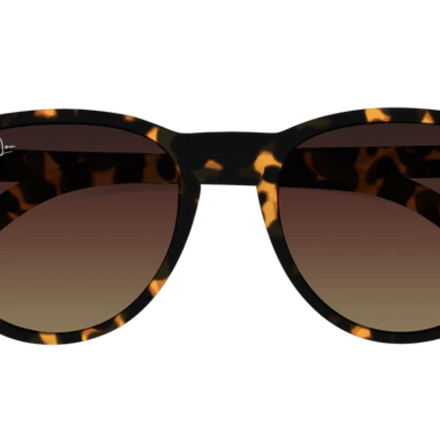 Hunter Lou Adult Classic Sunny {Tortoise}