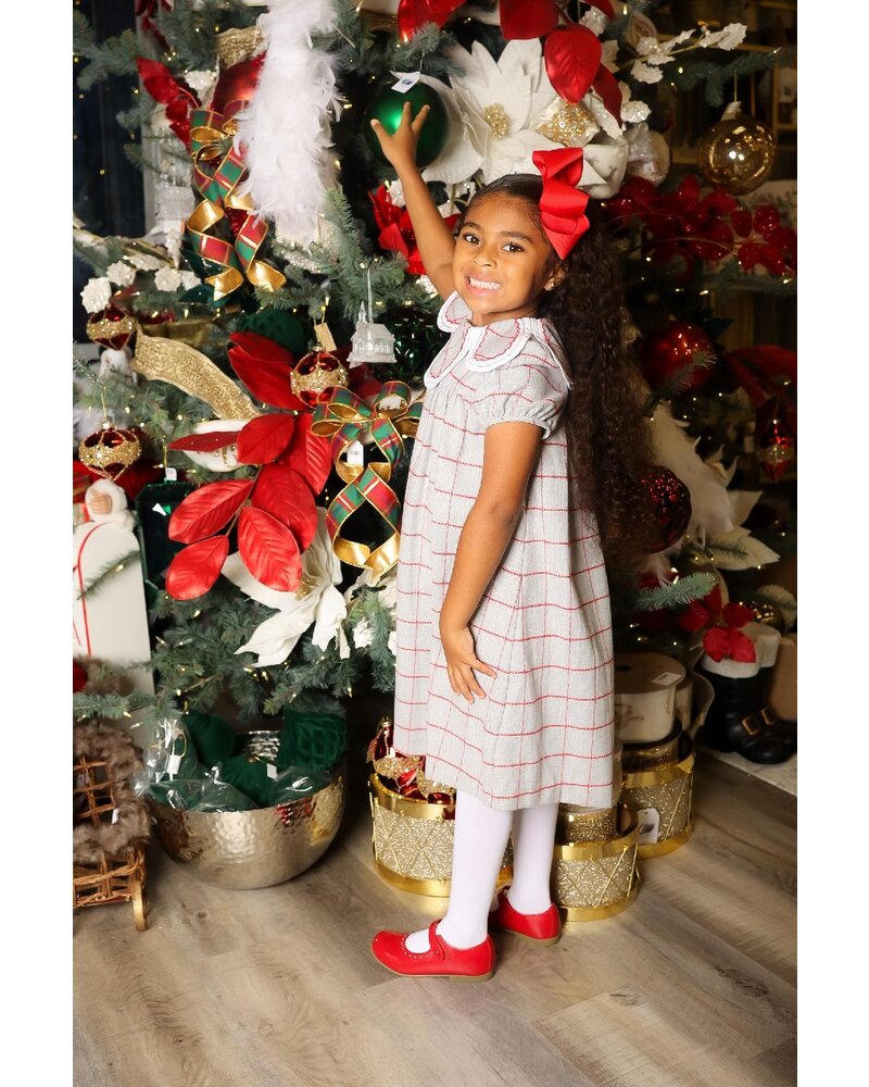 Sophie & Lucas Holiday Check Petal Dress {Grey/Red}