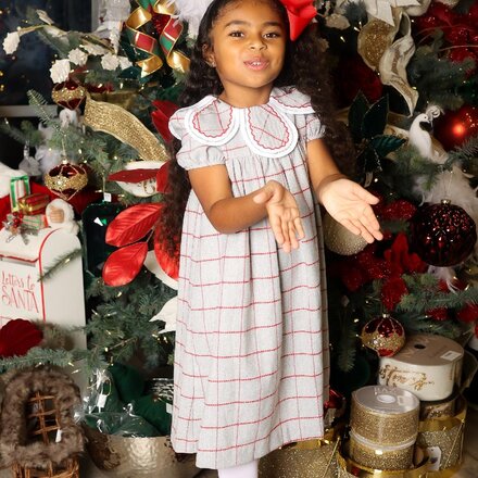 Sophie & Lucas Holiday Check Petal Dress {Grey/Red}