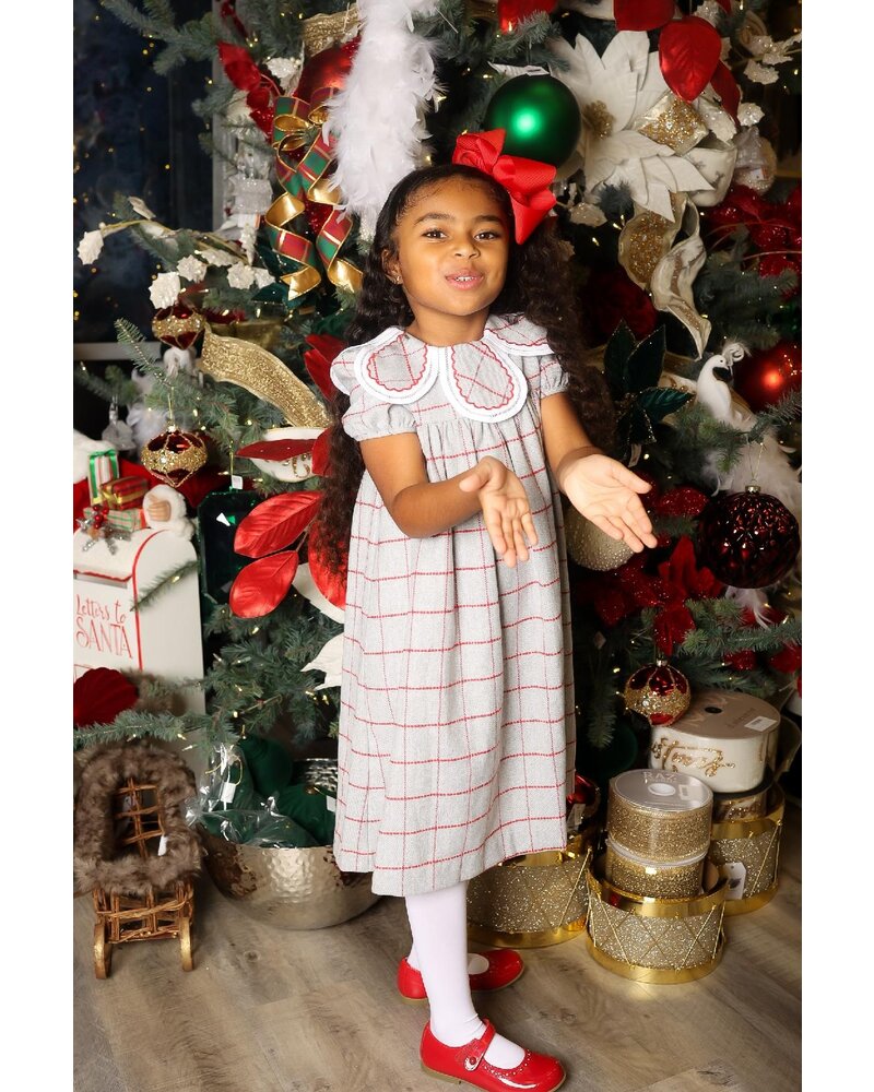 Sophie & Lucas Holiday Check Petal Dress {Grey/Red}