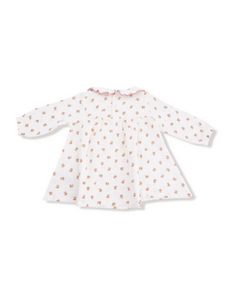 Angel Dear Petite Pointe Fleur L/S Petal Collar Dress Set