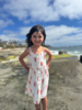 Vignette V1659A Brooklyn Dress {White Lobster}