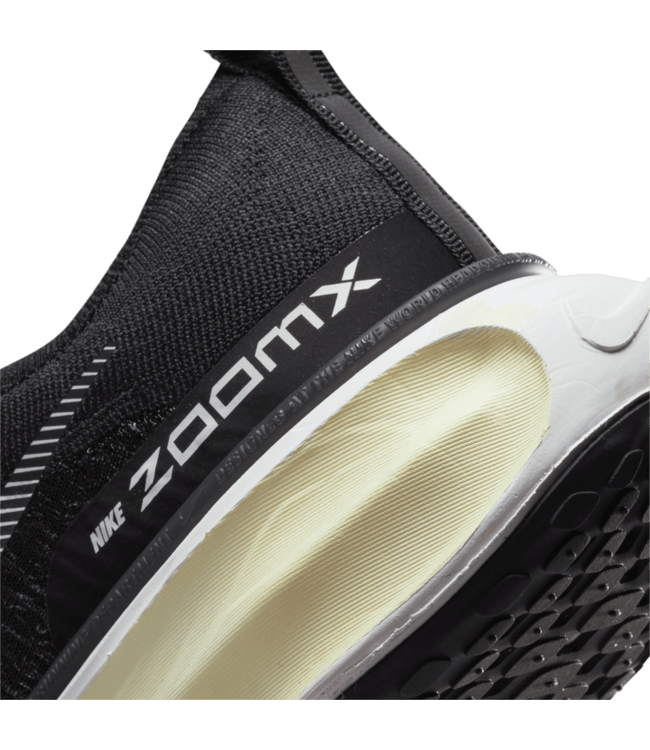 zoomx invincible vs pegasus 37