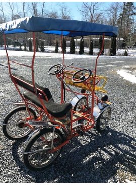 used surrey bike for sale