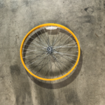 Margaritaville Tricycle Rear Wheel / Aluminum
