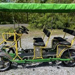 Used 2018 NewTecnoArt Selene Bus Surrey Bike (Yellow & Green w/ GreenTop)