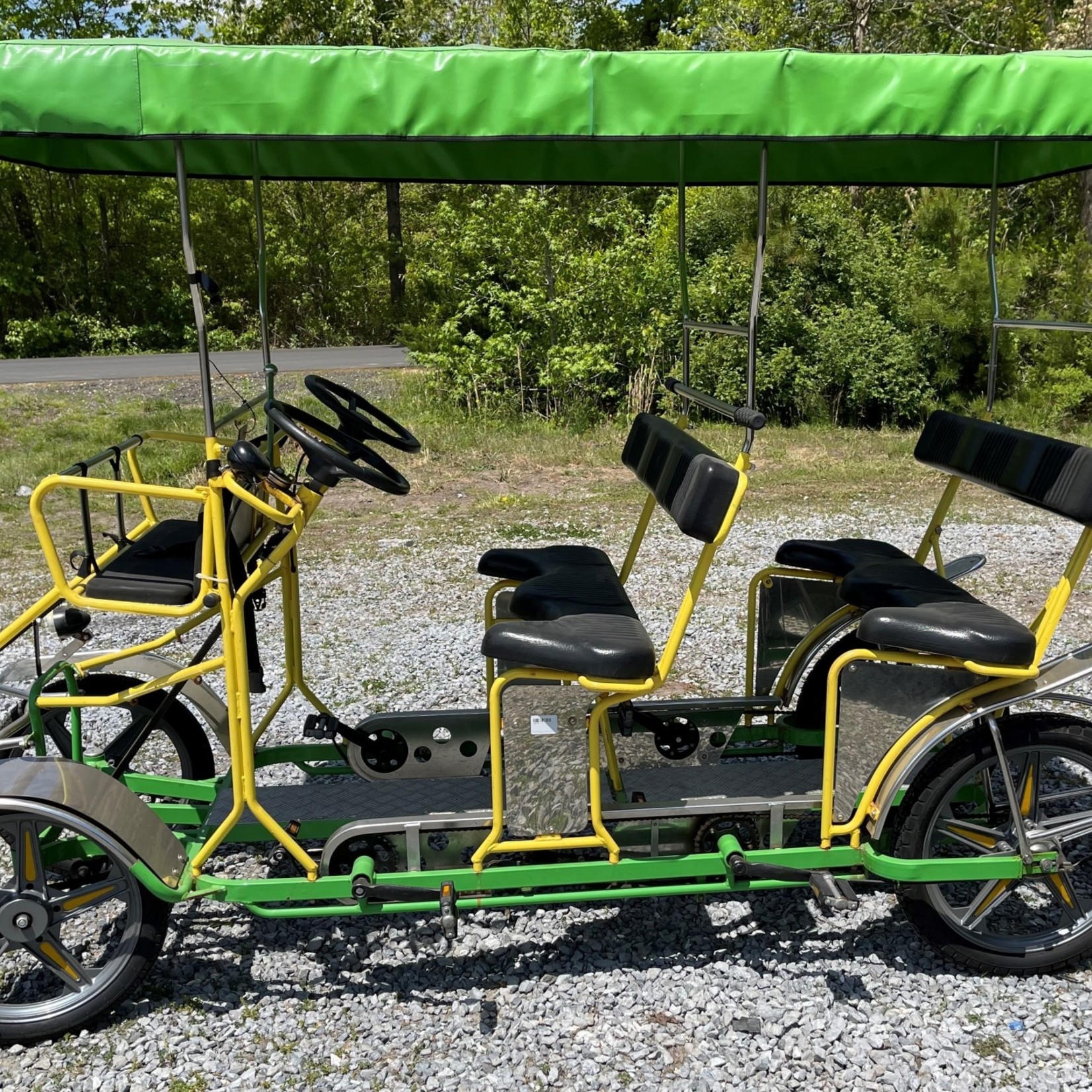 Used 2018 NewTecnoArt Selene Bus Surrey Bike (Yellow & Green w/ Green Top)