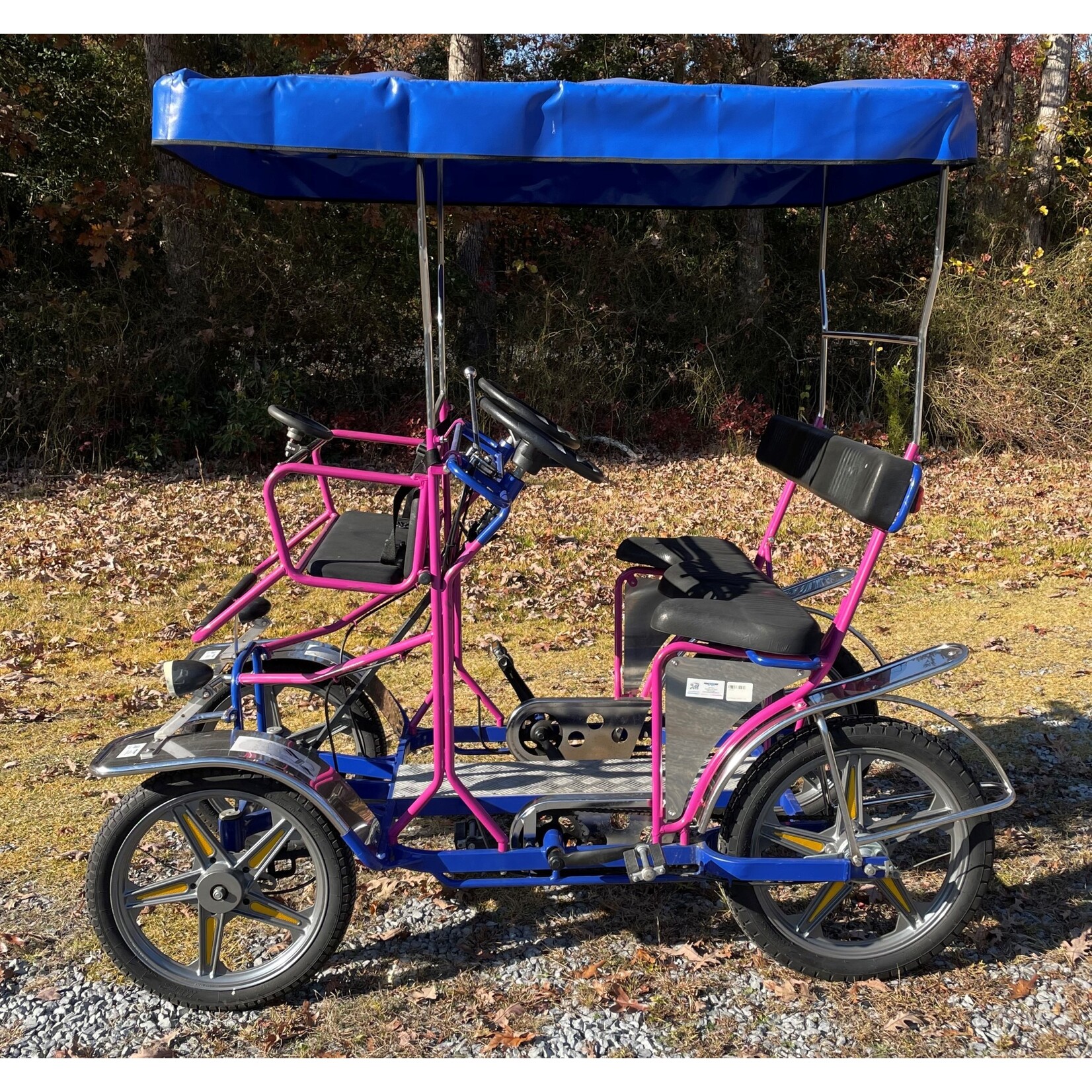 Used 2019 NewTecnoArt Selene Sport Surrey Bike (Blue & Purple w/ Blue Top)