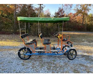 Used surrey bike for sale sale near me