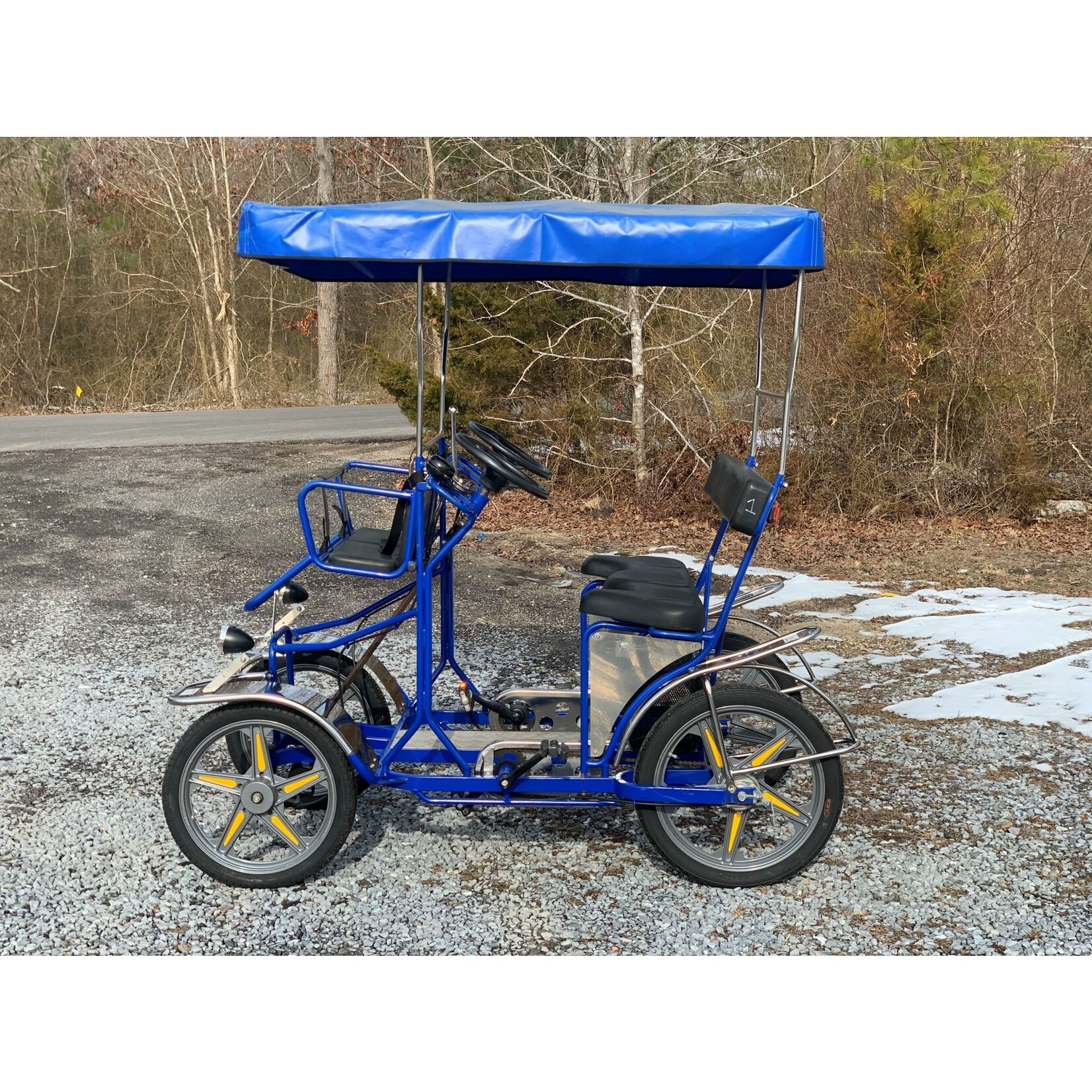 Used 2019 NewTecnoArt Selene Sport Surrey Bike (Blue w/ Blue Top)