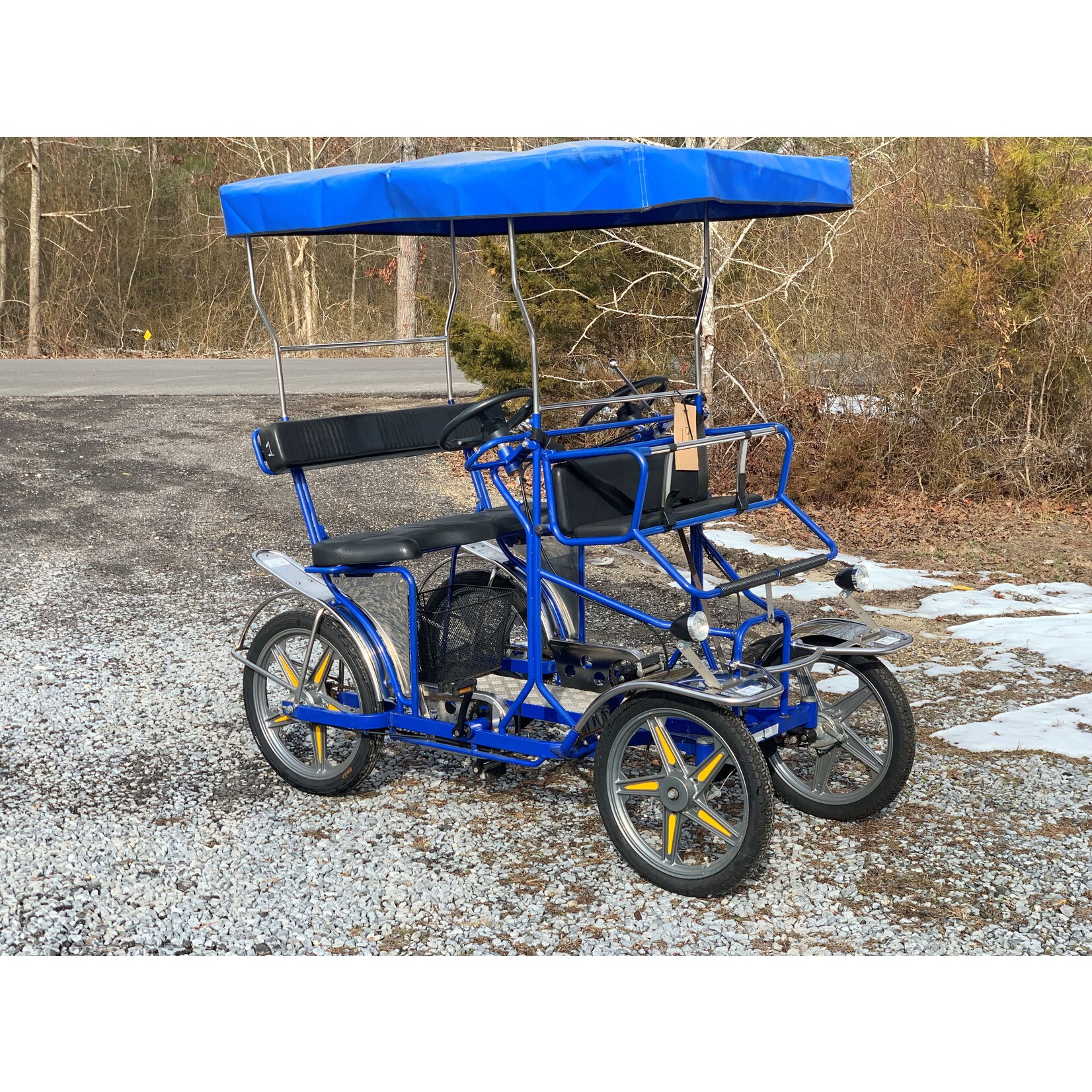 Used 2019 NewTecnoArt Selene Sport Surrey Bike (Blue w/ Blue Top)