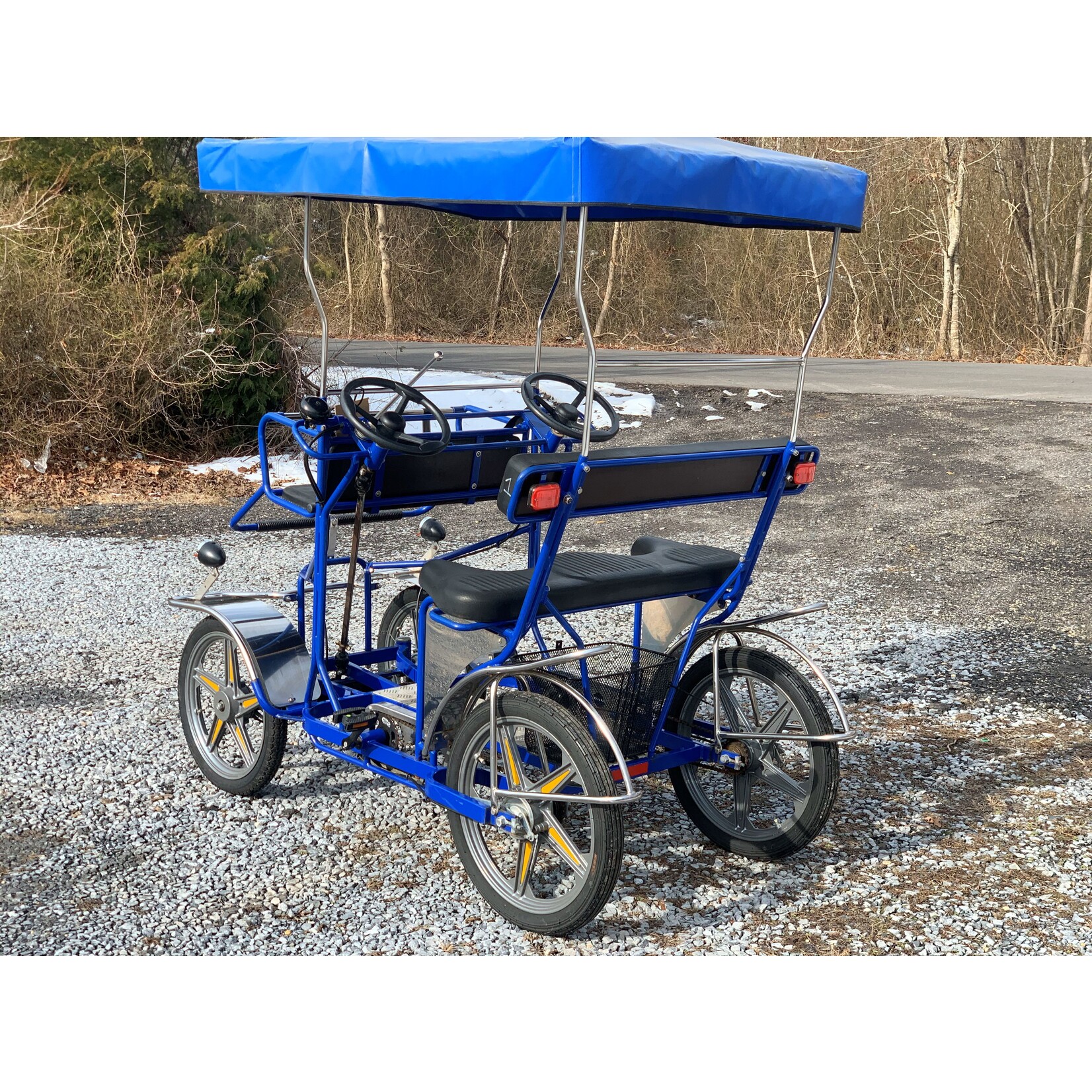 Used 2019 NewTecnoArt Selene Sport Surrey Bike (Blue w/ Blue Top)