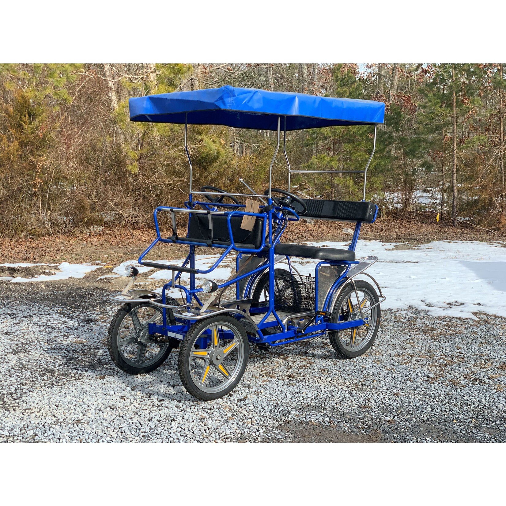 Used 2019 NewTecnoArt Selene Sport Surrey Bike (Blue w/ Blue Top)
