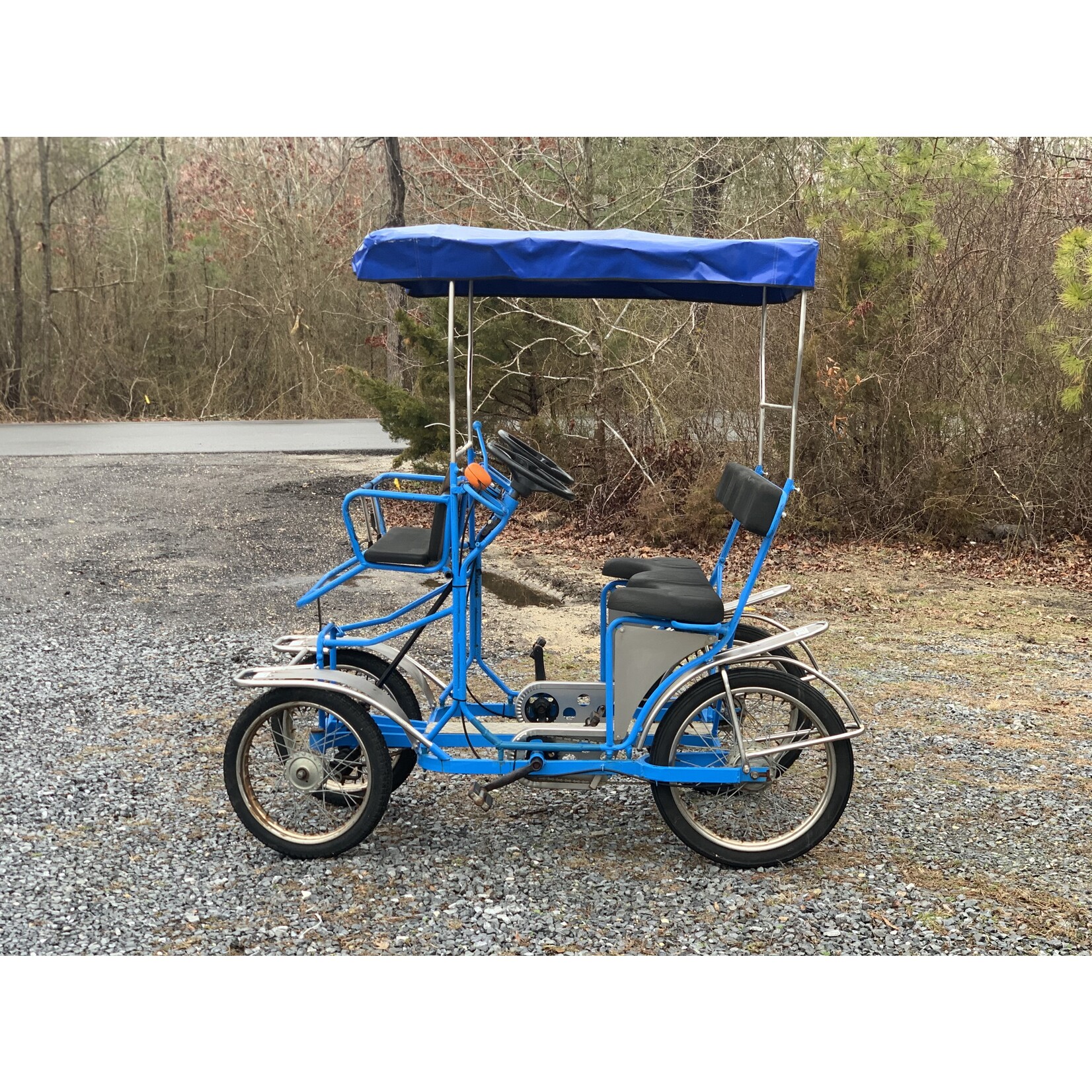 Used NewTecnoArt Selene Sport Surrey Bike (Blue #007)